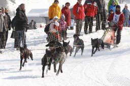 Lenk 2012 SM